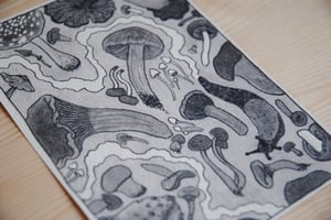CHAMPIGNONS — carte postale impression jet d’encre — papier coton 300gr