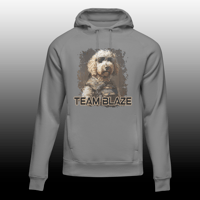 Image 1 of Team Blaze Hoodie 