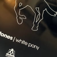 Image 2 of Deftones 'White Pony' Poster