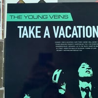 Image 3 of The Young Veins 'Take A Vacation' Poster