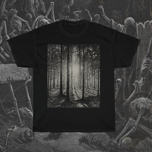 Image of Sun Shining Through Trees T-Shirt