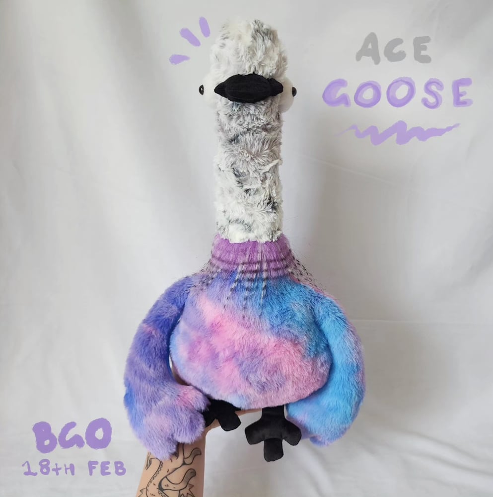 Image of Ace goose 