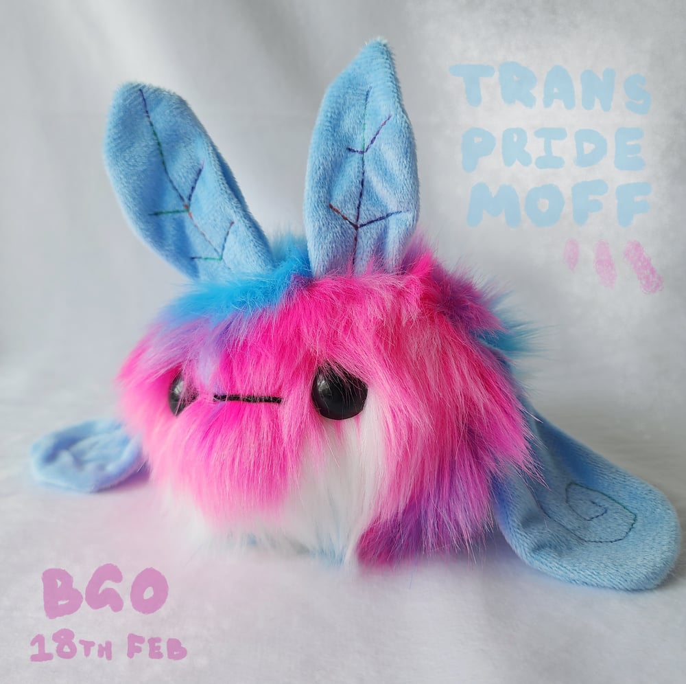 Image of Trans moff 