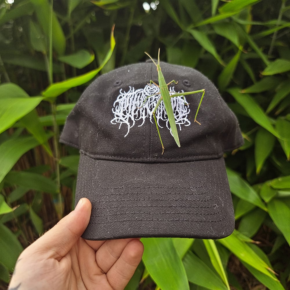 Image of ANIMAL LIBERATION Dad Hat