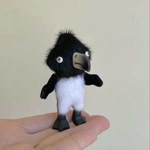 Image of Cirrus the Tiny Penguin