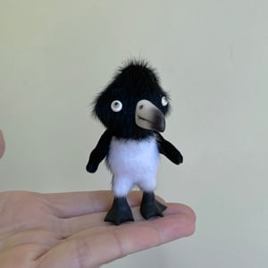 Image of Nimbus the Tiny Penguin