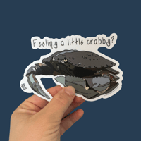 Image 1 of Feeling A Little Crabby - Crab Pun Sticker 5in