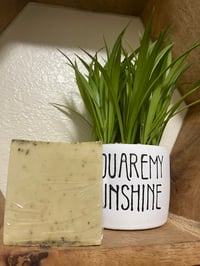 Jabón de Eucalipto