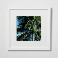 Image 4 of Sunbathed Palm Tree-Fine Art Print