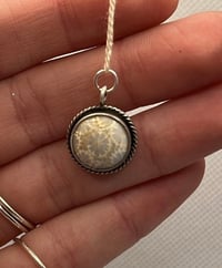 Image 1 of Fossilized Coral Pendant