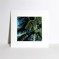 Image 2 of Sunbathed Palm Tree-Fine Art Print