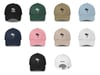 Arecaceae Dad Hats