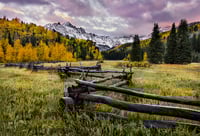 Purple Mountains Majesty