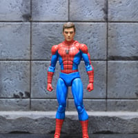 Image 5 of Spidey Game Unmasked