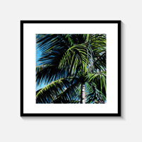 Image 3 of Sunbathed Palm Tree-Fine Art Print