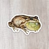 Treefrog Sticker