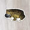 Woodhouse's Toad Sticker