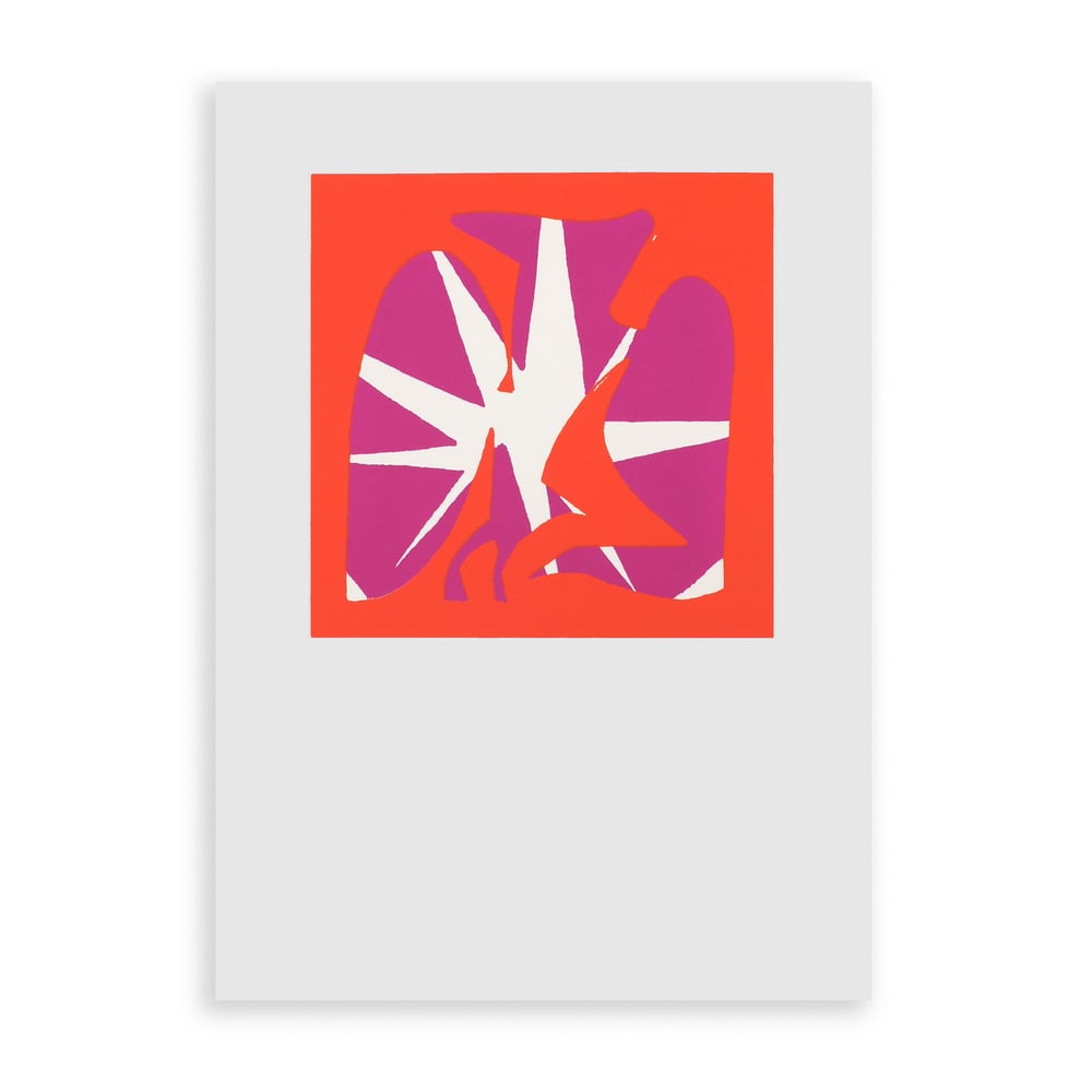 Image of ALBERTO FIOCCO