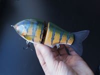 Image 3 of Solarfall Baits Wooden blue gill glide ( teal bars )