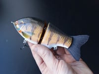 Image 4 of Solarfall Baits Wooden blue gill glide ( chocolate brown )