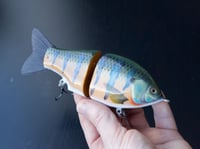 Image 1 of Solarfall Baits Wooden blue gill glide ( silver variant with teal bars )