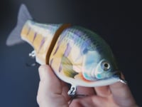 Image 3 of Solarfall Baits Wooden blue gill glide ( silver variant with teal bars )
