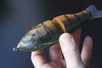 Image 2 of Solarfall Baits Wooden blue gill glide ( green variant with black bars )