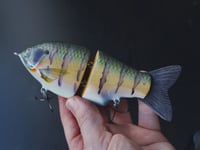 Image 4 of Solarfall Baits Wooden blue gill glide ( silver variant with purple bars )