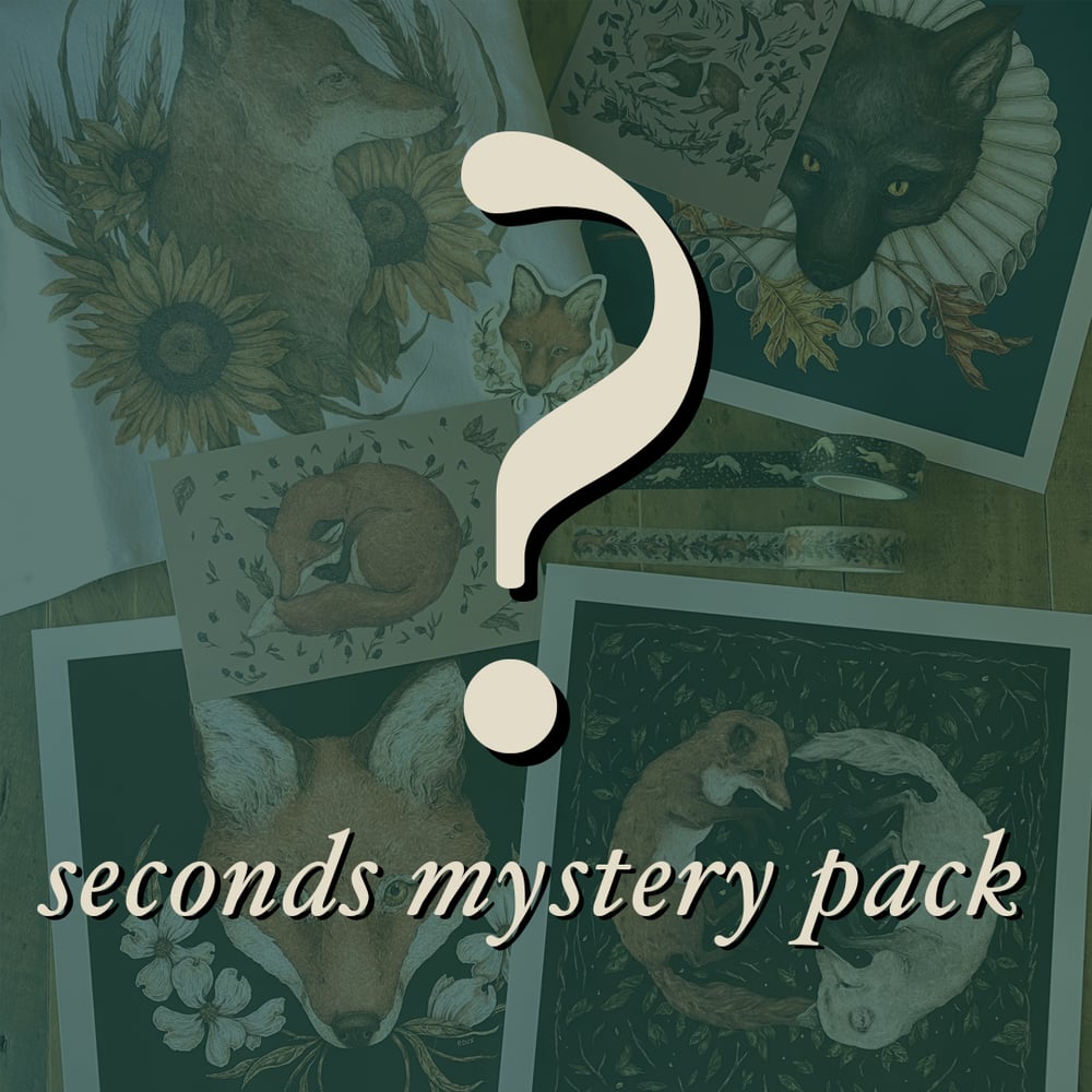 Image of Seconds Sale Mystery Pack