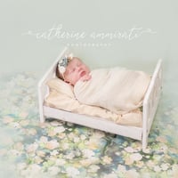 Image 5 of Newborn session Info - Packages to choose from 2024/2025