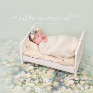 Image of Newborn session Info - Packages to choose from 2025