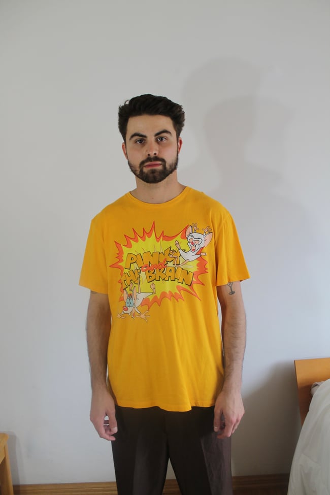 Retro Pinky And The Brain