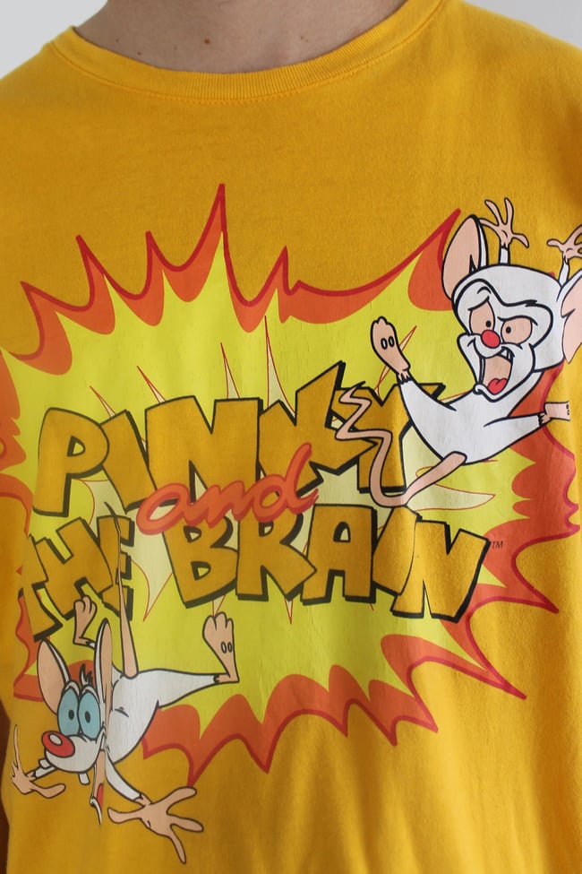 Retro Pinky And The Brain