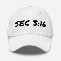 Image 1 of SEC 3:16 hat