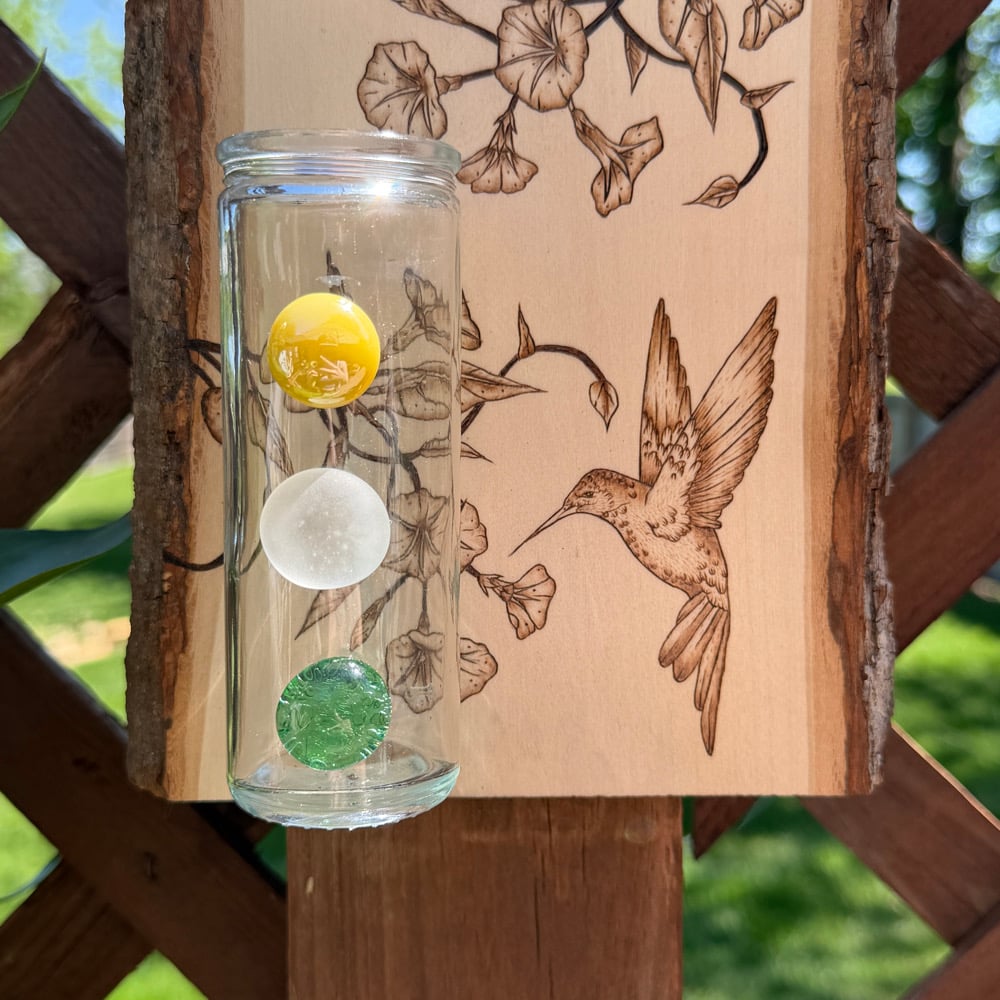 Image of hummingbird twins propogation station wood art