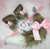 Brown Kitten petplay set 🐈‍⬛🐾😻
