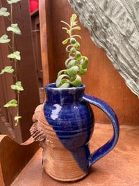 Image 4 of Blue Echeveria in Handmade Pittsburgh Man Mug