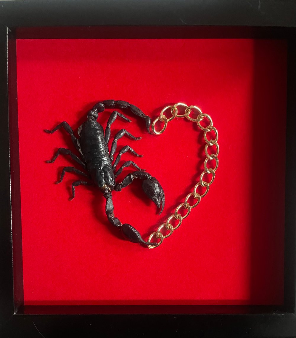 Image of Chain of Fools