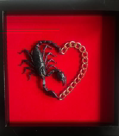 Image of Chain of Fools