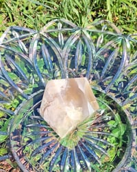 Image 3 of Flower Agate Freeform