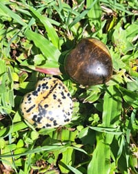 Image 1 of Small Heart Carvings