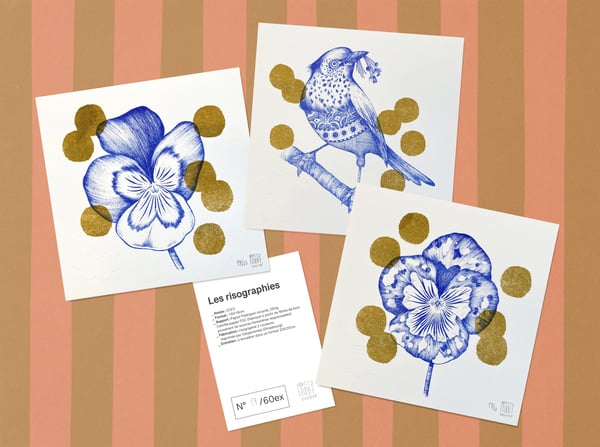 Image of Colchiques dans les prés