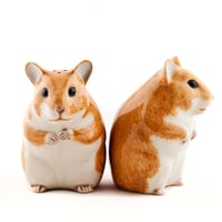 Image 2 of Sel Poivre Hamster