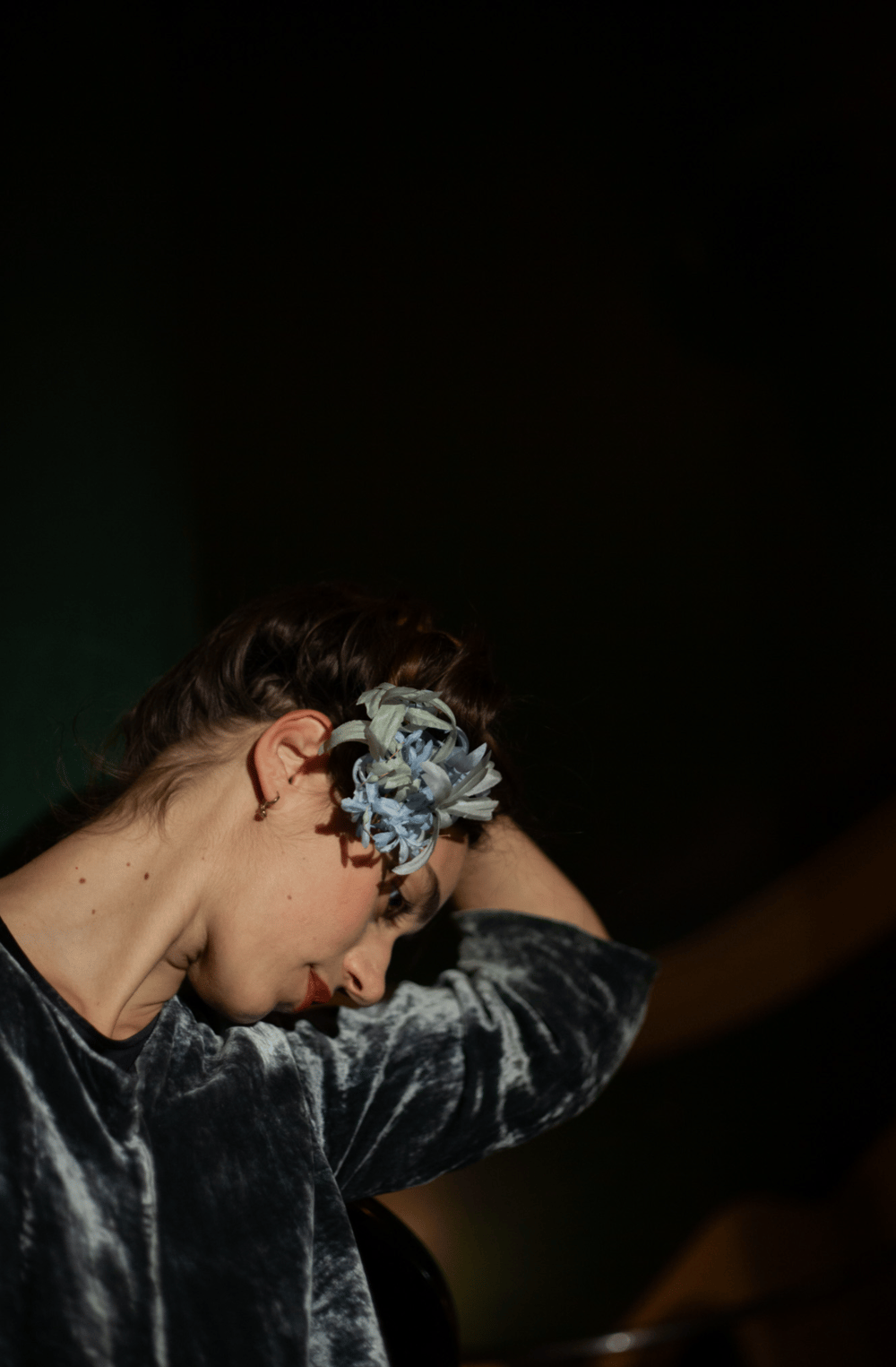 Image of Tremblantes