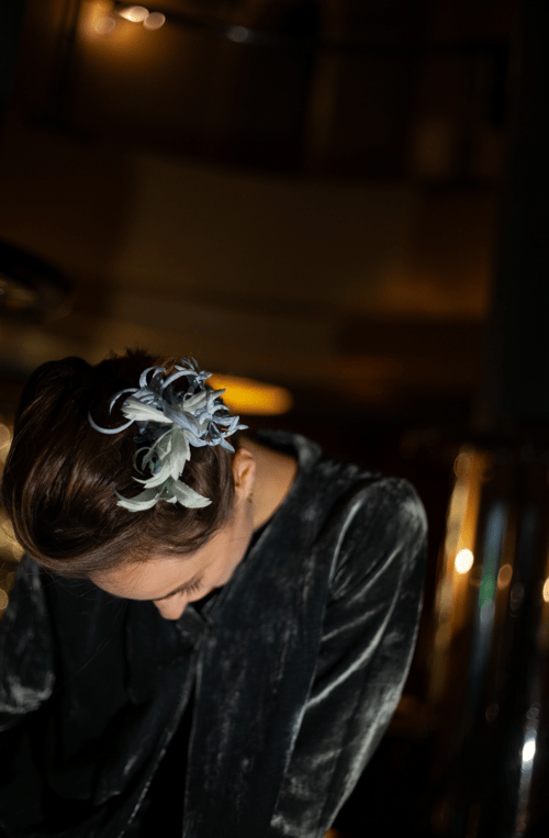 Image of Tremblantes