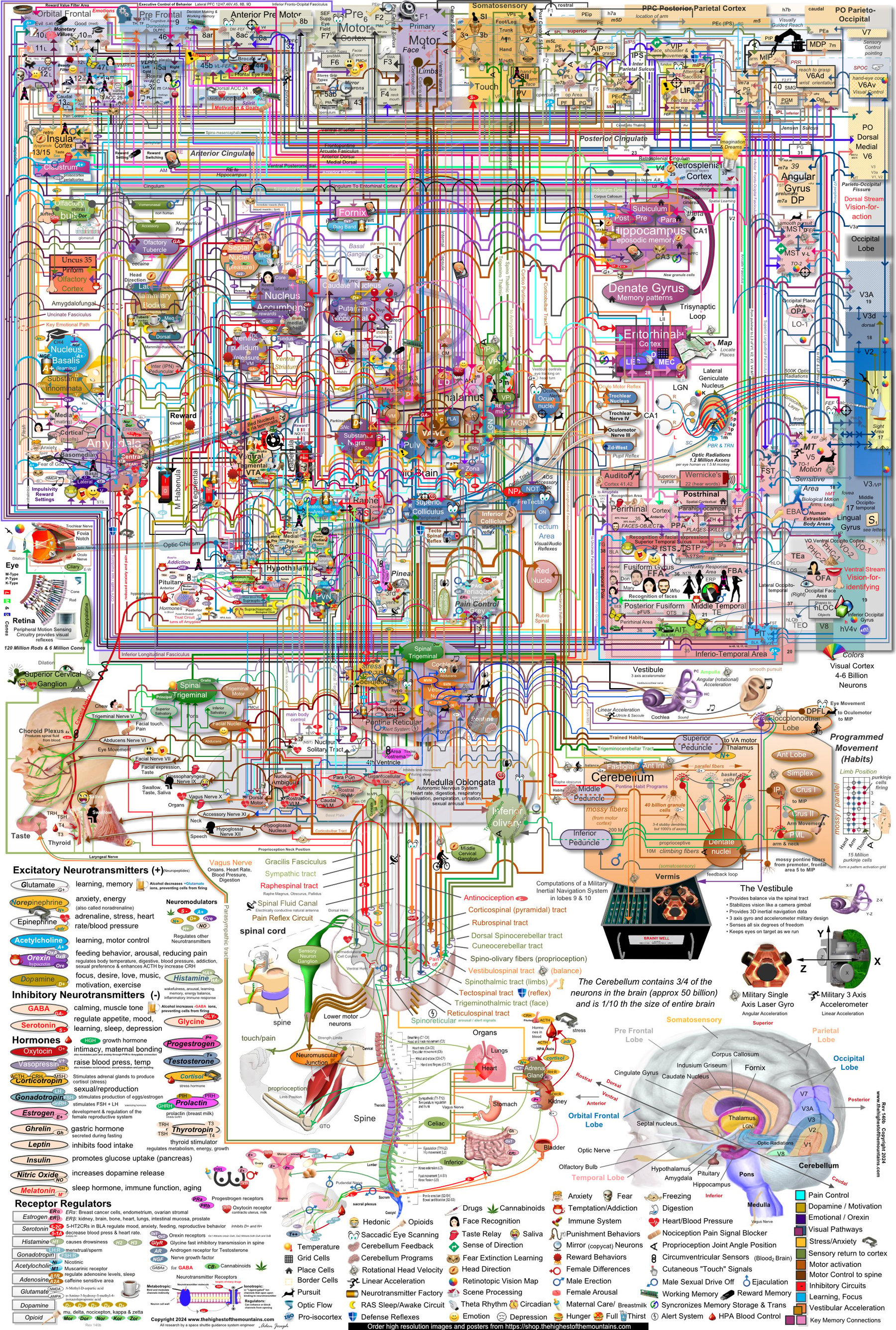 Thehighestofthemountains Brain Map 135a 185px ?auto=format&fit=max&w=1800