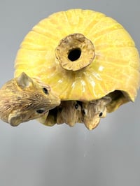 Image 6 of Snug- Elizabeth Paxson