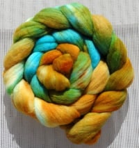 Image 2 of Verdigris Polwarth Combed Top 6+ Ounces