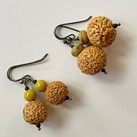Image 5 of Quandong Earrings with Mustard Rounds