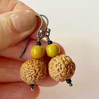 Image 4 of Quandong Earrings with Mustard Rounds